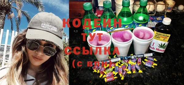 дмт Инсар