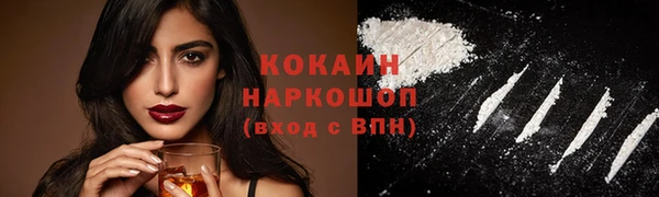дмт Инсар