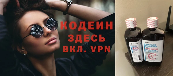 дмт Инсар
