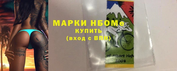 дмт Инсар