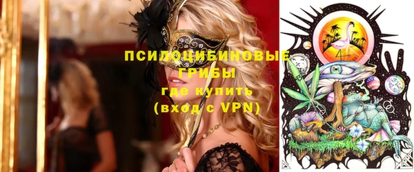прущая мука Инта