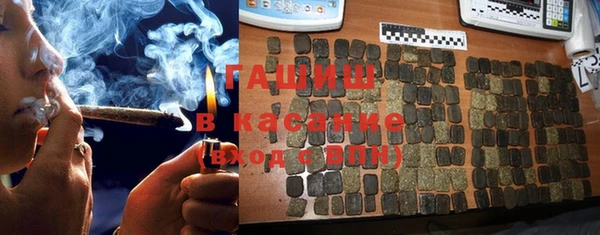 дмт Инсар