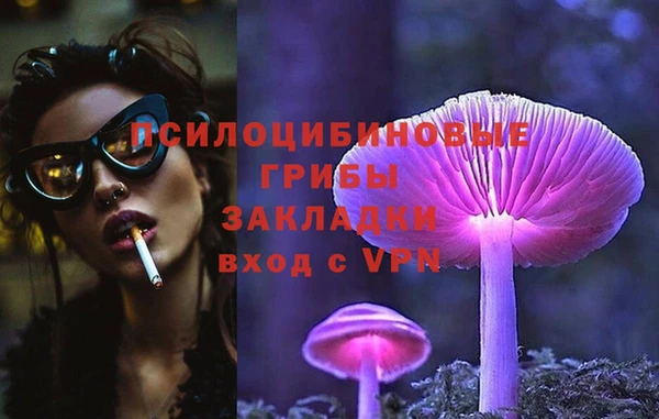 прущая мука Инта