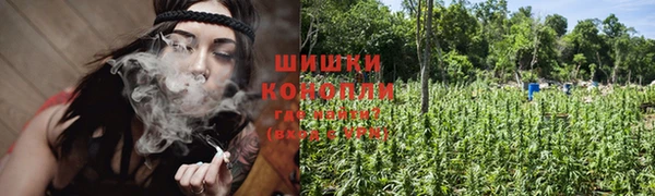 прущая мука Инта