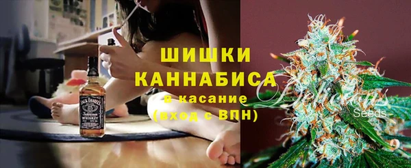 дмт Инсар