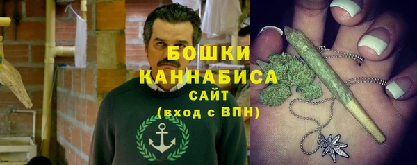 прущая мука Инта