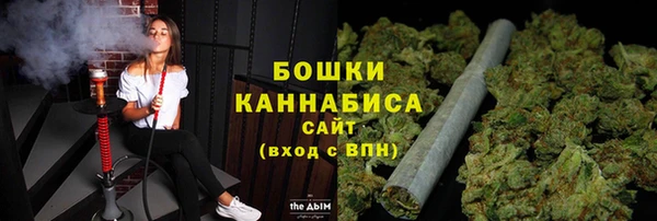 дмт Инсар