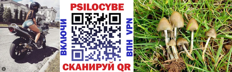 Галлюциногенные грибы Magic Shrooms  Иноземцево 